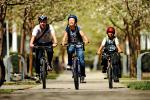 3 bicyclists on road with trees