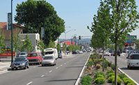 East 14th Street/Mission and Fremont Boulevard Corridor Project thumbnail